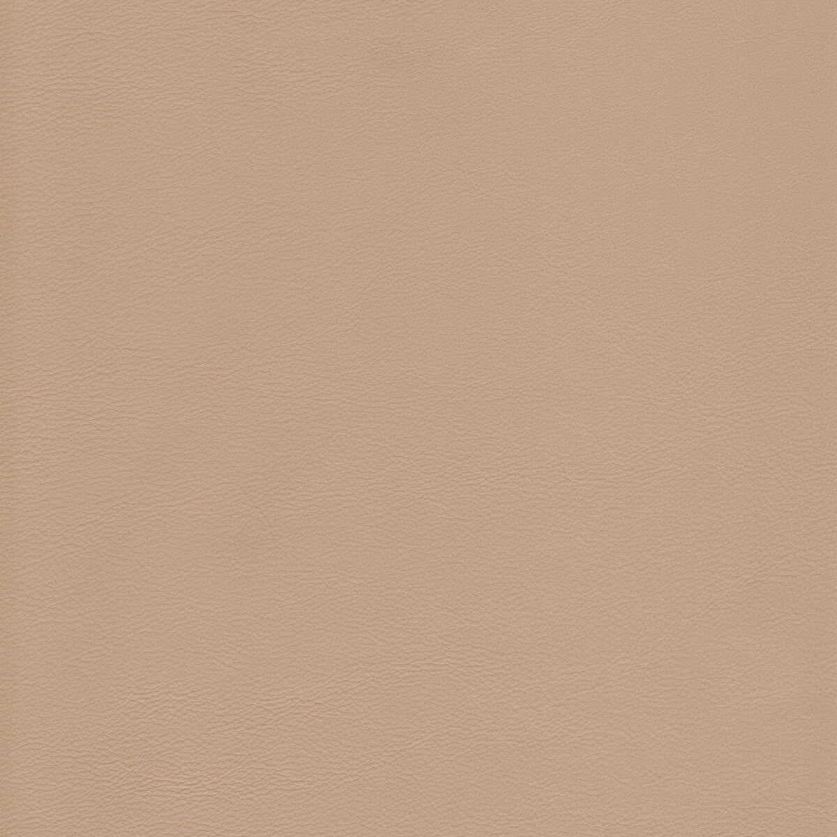 l-howdybirch0-kravet-design-l-howdy-birch-kravet-design