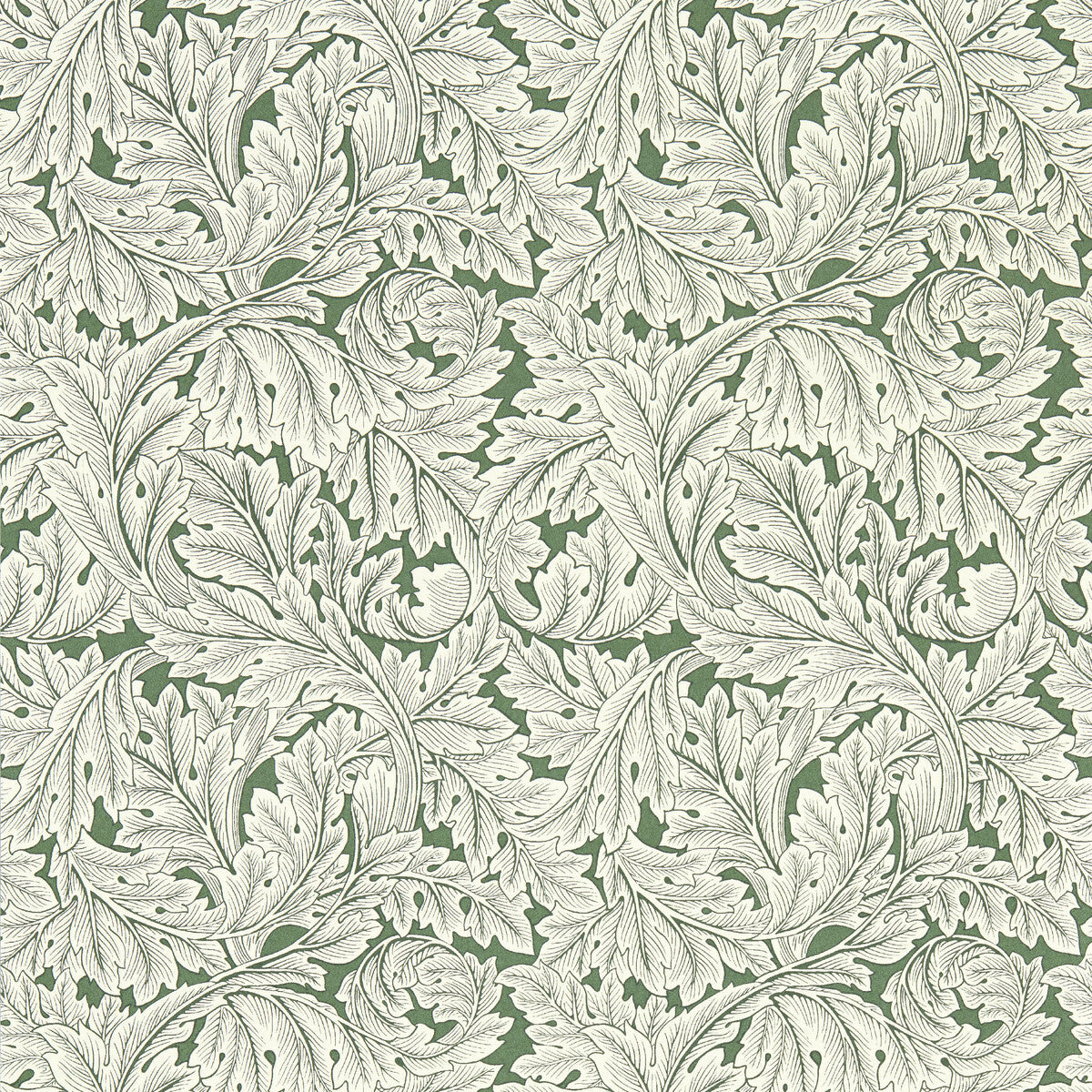 w017501cac0-acanthus-wp-sage-clarke-and-clarke - CLARKE AND CLARKE Wallpaper
