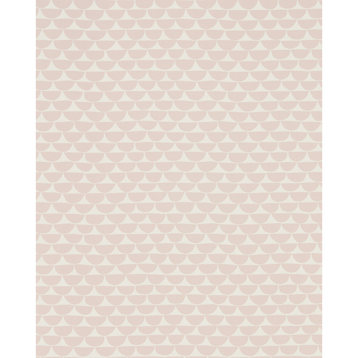 nnou111534scn0-kielo-blush-scion