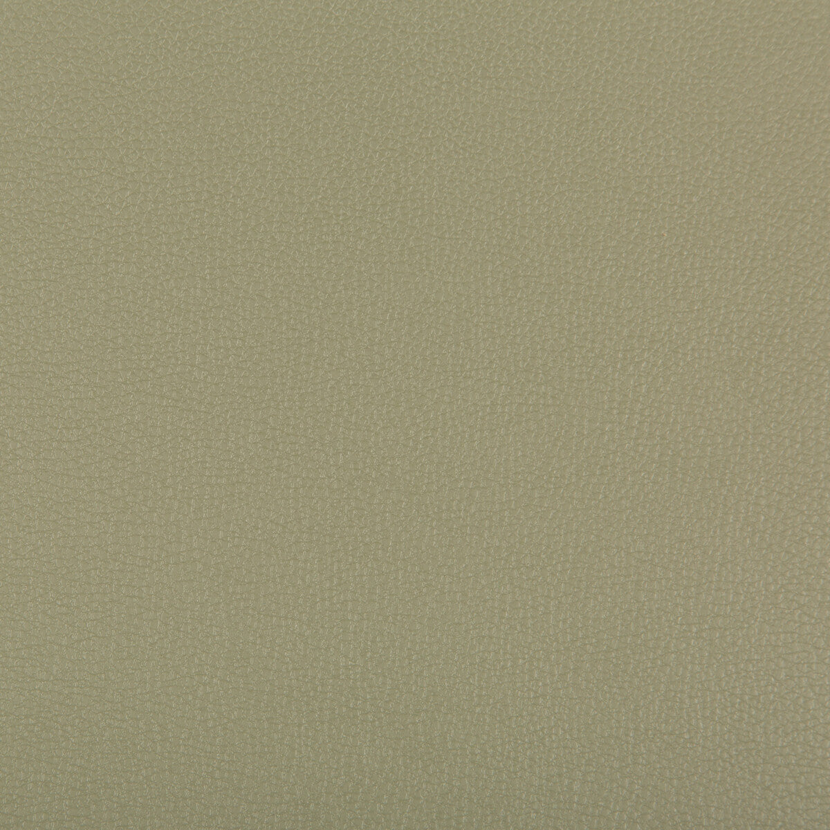 syrus3110-syrus-sage-kravet-contract