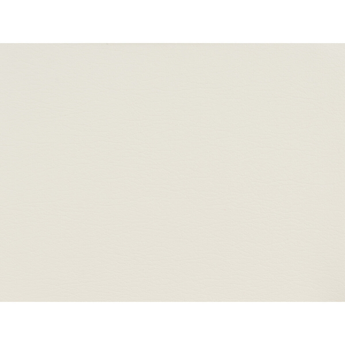 gato10-kravet-design-gato-1-kravet-design
