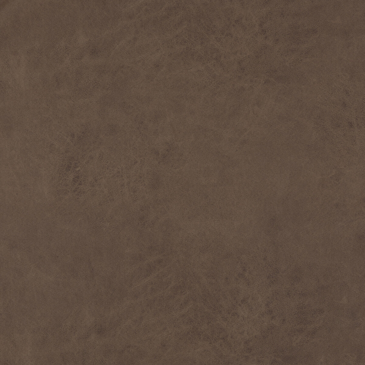 pf504122840-lexham-truffle-baker-lifestyle