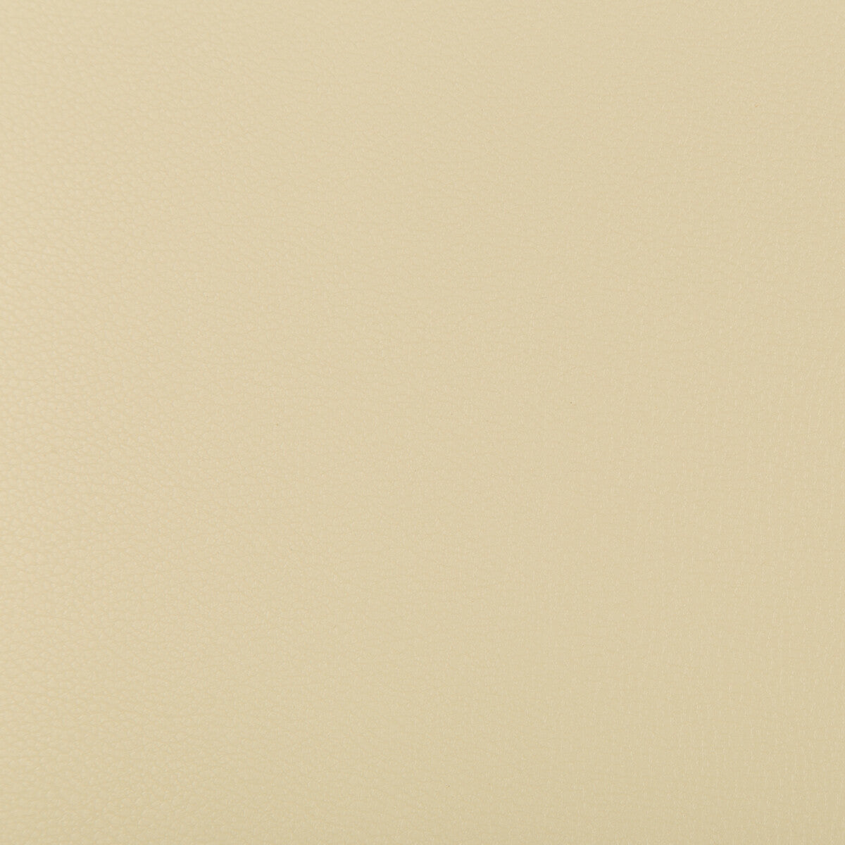 syrus160-syrus-sandbar-kravet-contract