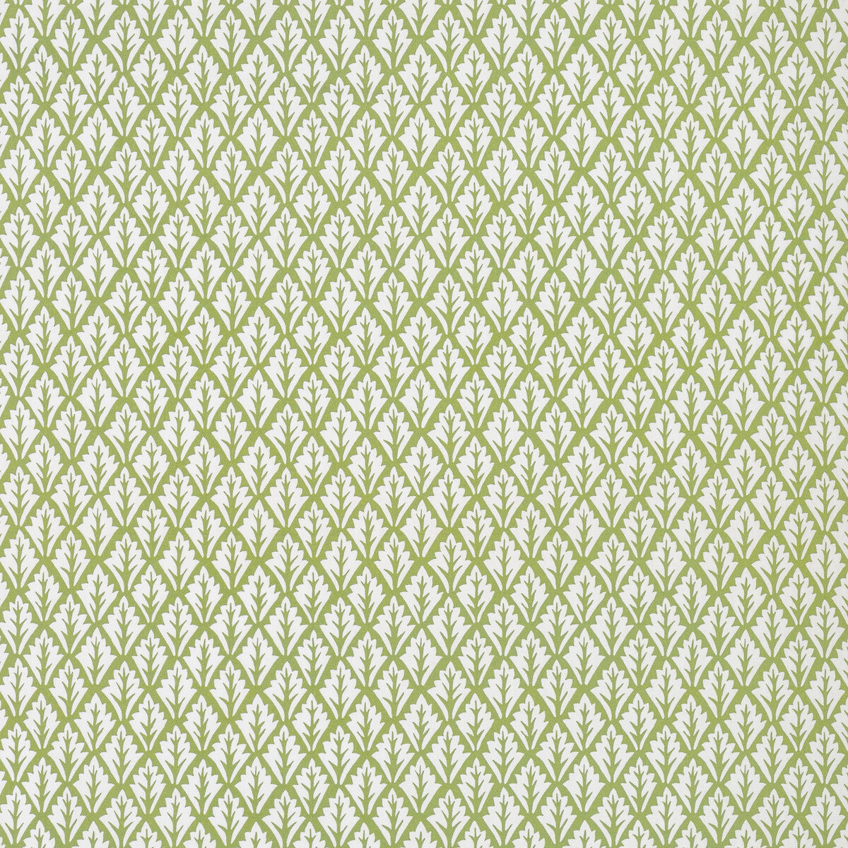 dorso230-dorso-olive-kravet-basics - KRAVET BASICS Fabric