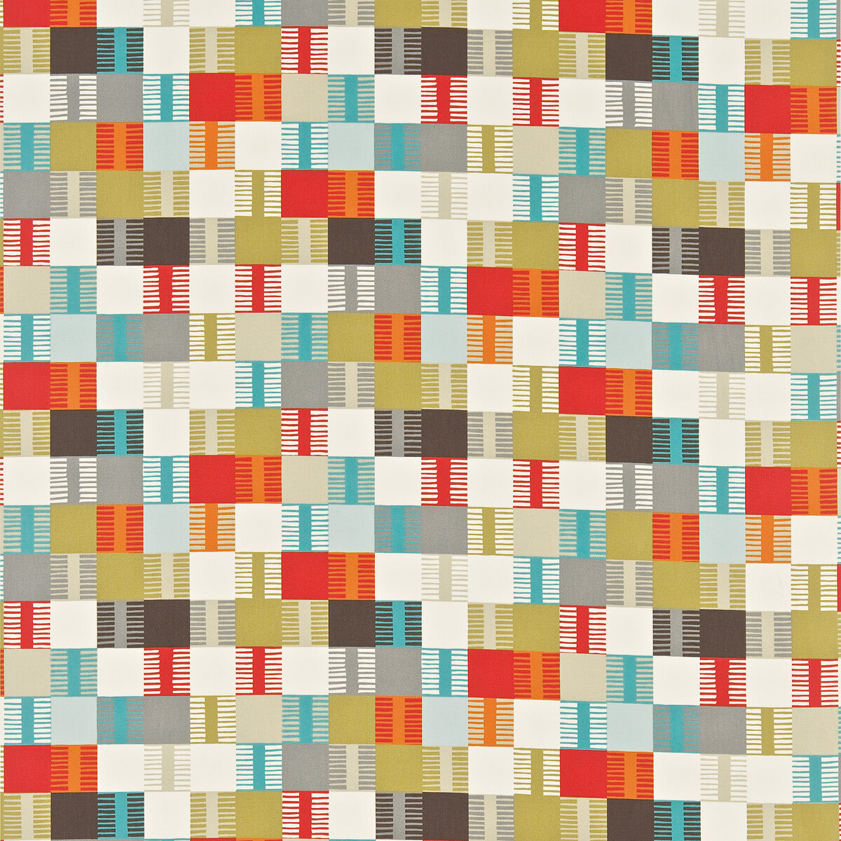 nwab120172scn0-navajo-tomatomulti-scion
