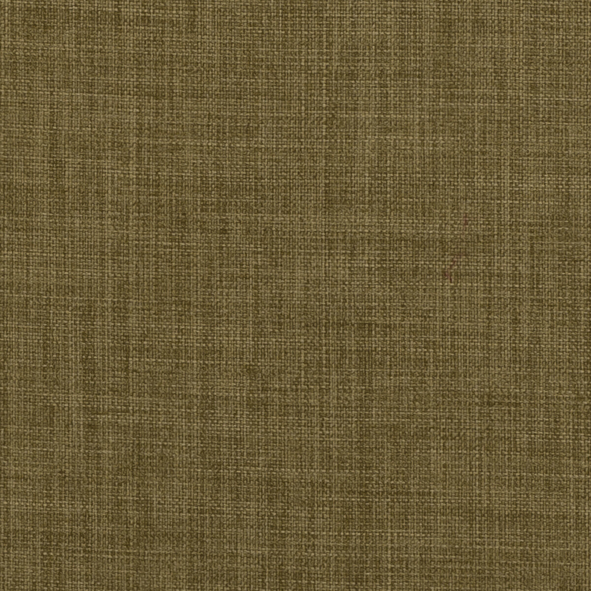 f045328cac0-linoso-pesto-clarke-and-clarke - CLARKE AND CLARKE Fabric