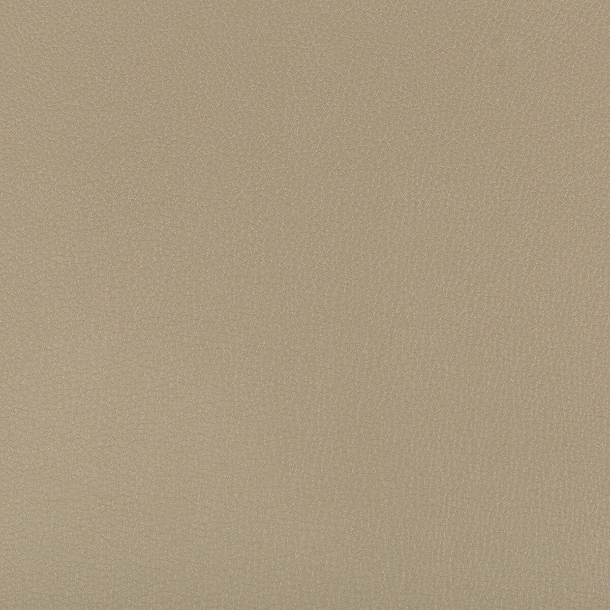 syrus3160-syrus-elm-kravet-contract