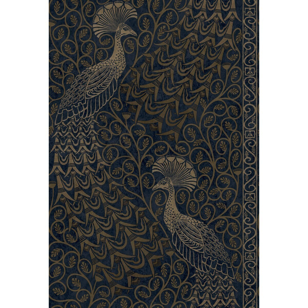 1168030cs0-pavo-parade-m-bronzemid-cole-son