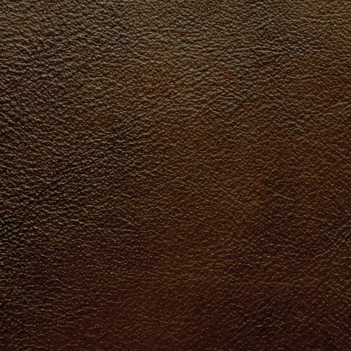 l-portofinsable0-kravet-design-l-portofin-sable-kravet-design