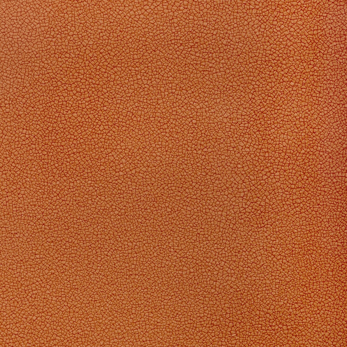 reset120-reset-canyon-kravet-contract