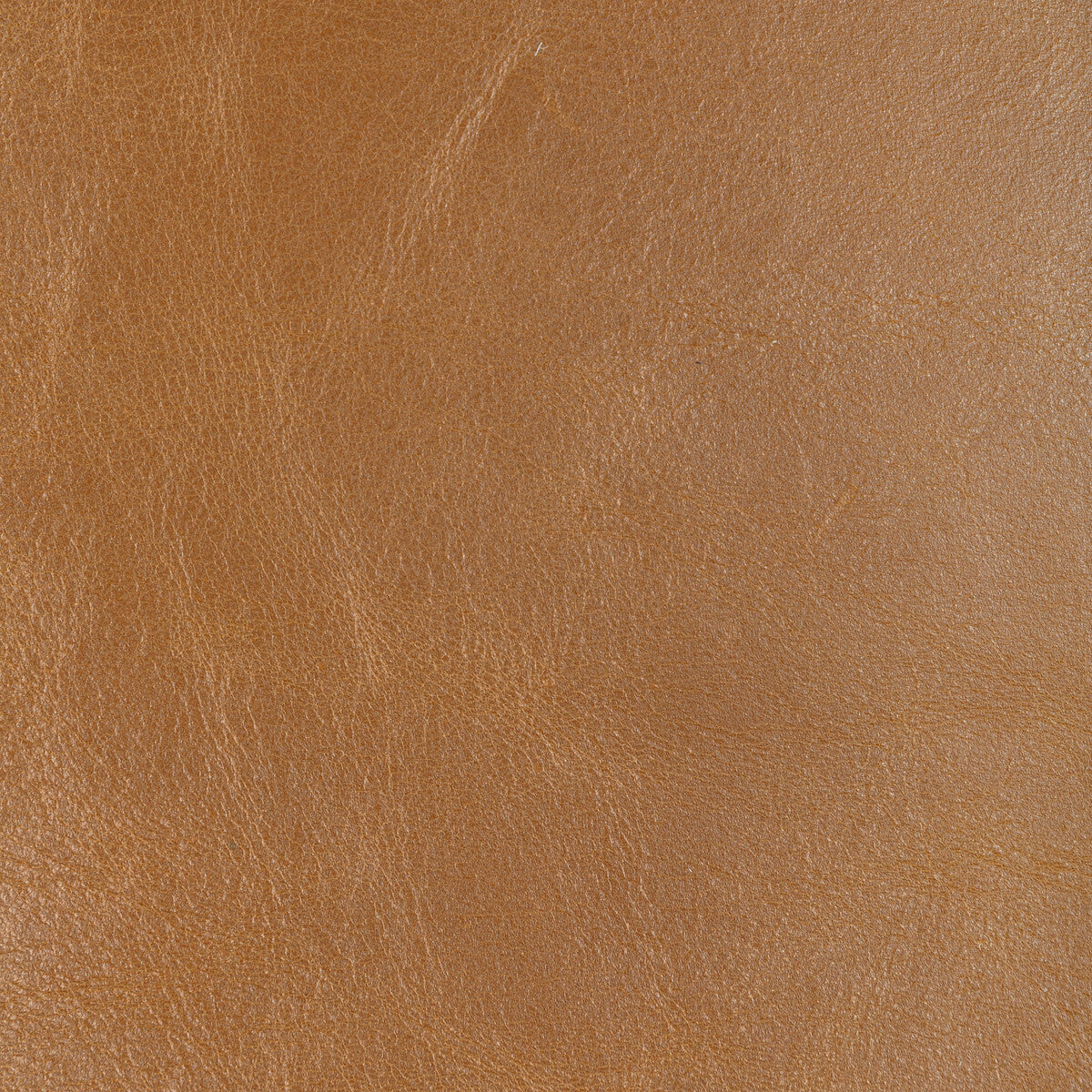l-droverscaramel0-kravet-design-l-drovers-caramel-kravet-design