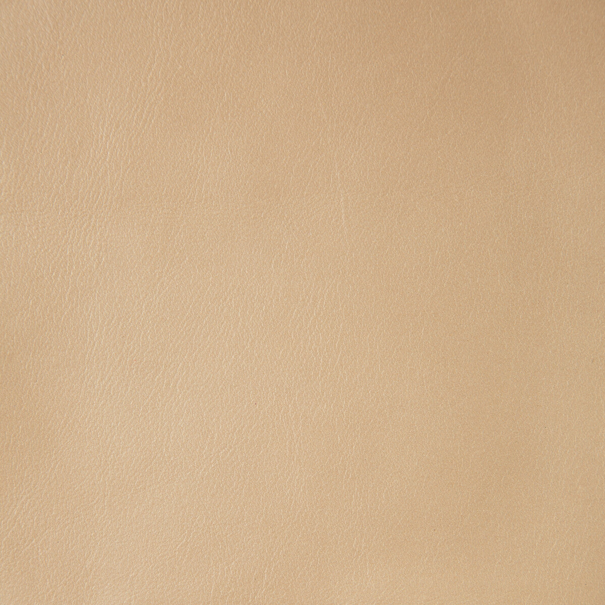 l-namibsand0-kravet-design-l-namib-sand-kravet-design