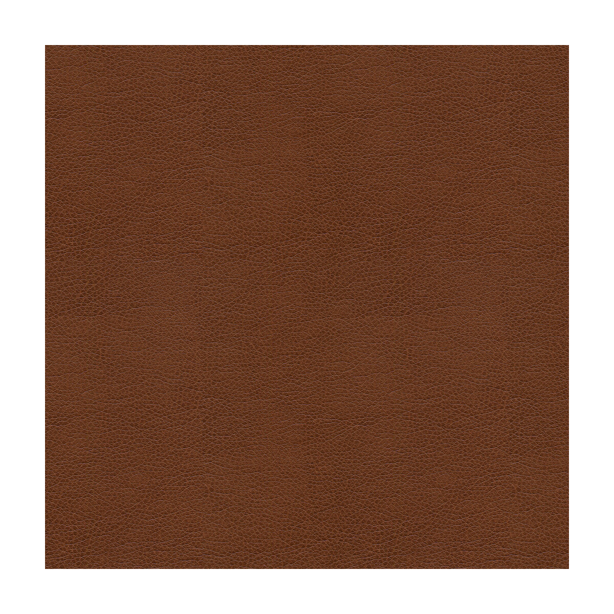alina60-kravet-smart-alina-6-kravet-smart