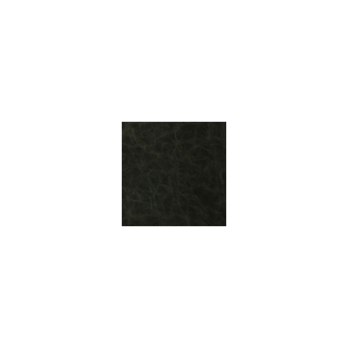 santina3030-santina-loden-kravet-contract