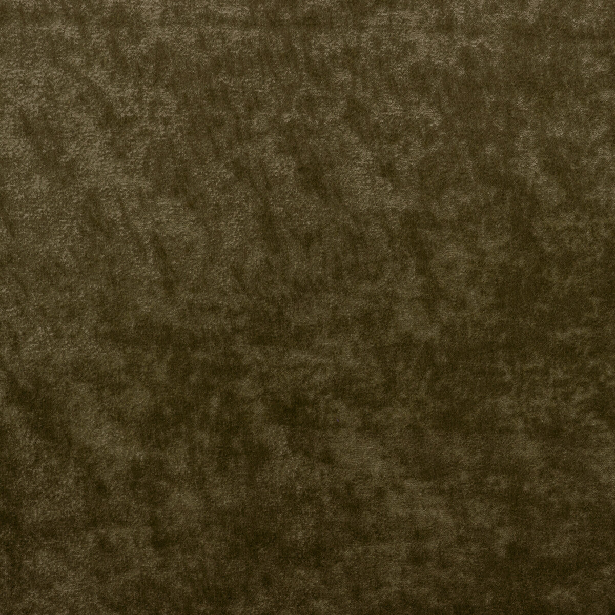 36065300-triumphant-olive-kravet-couture