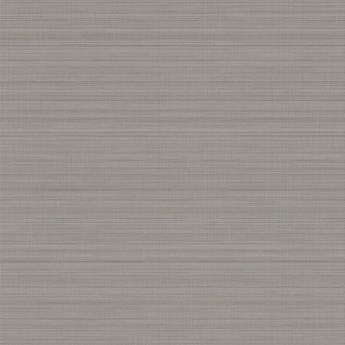 whf3907wt0-salana-owl-winfield-thybony - WINFIELD THYBONY Wallpaper