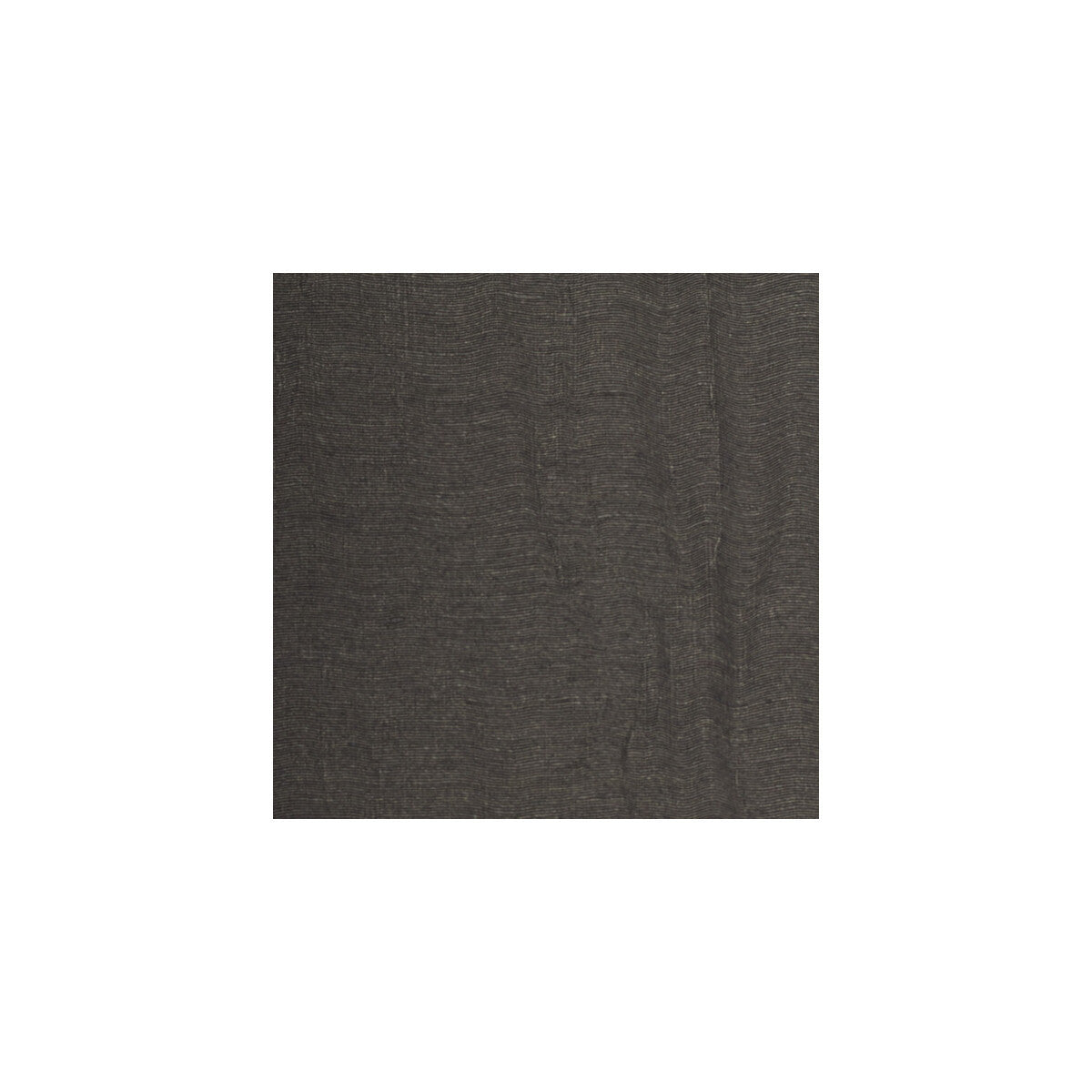 wte6061wt0-mariano-black-olive-winfield-thybony - WINFIELD THYBONY Wallpaper