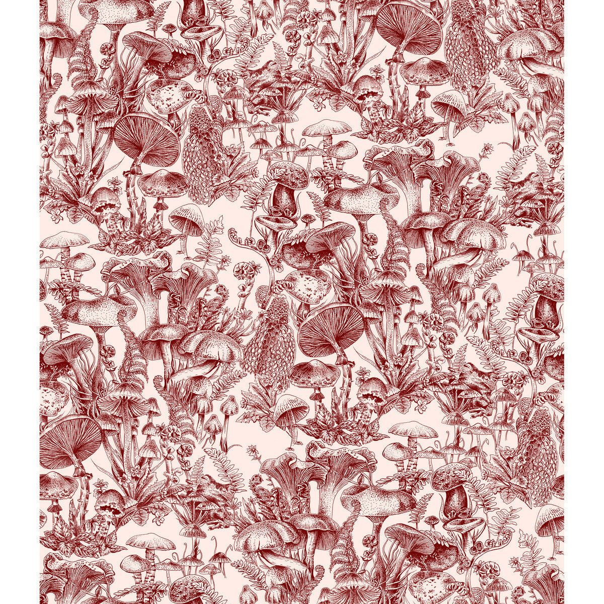 1221001cs0-fungi-forest-burgundy-cole-son