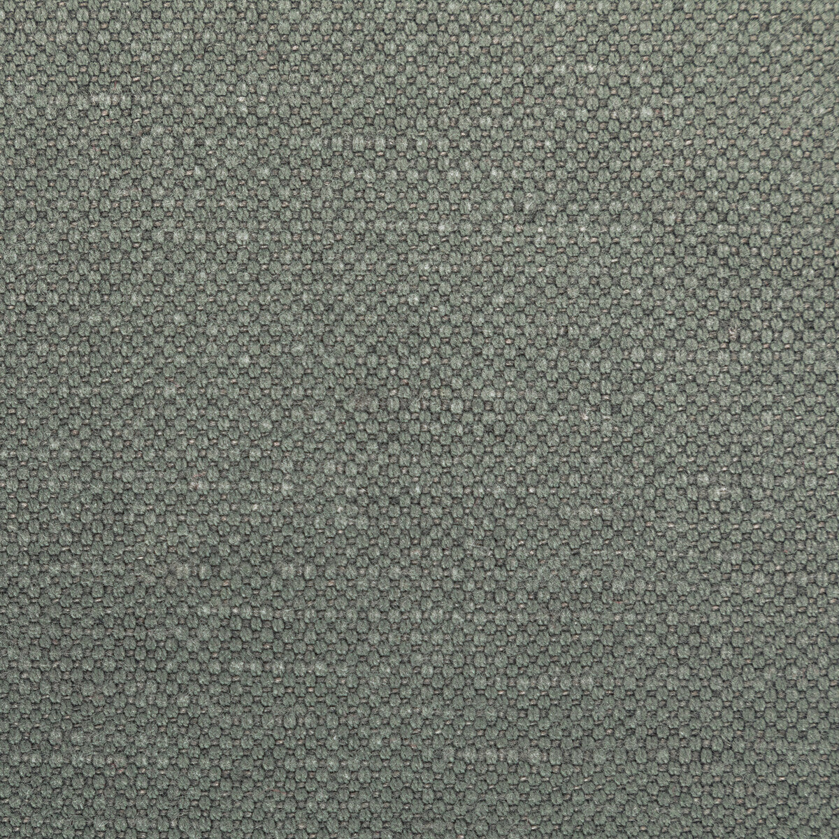 3628221110-carson-rhino-kravet-basics