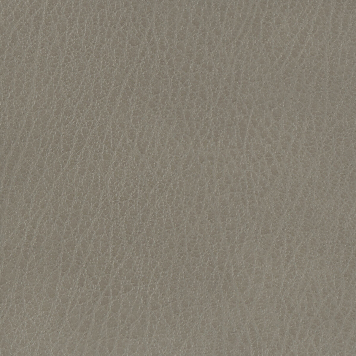 celine110-kravet-basics-celine-11 - KRAVET BASICS Fabric