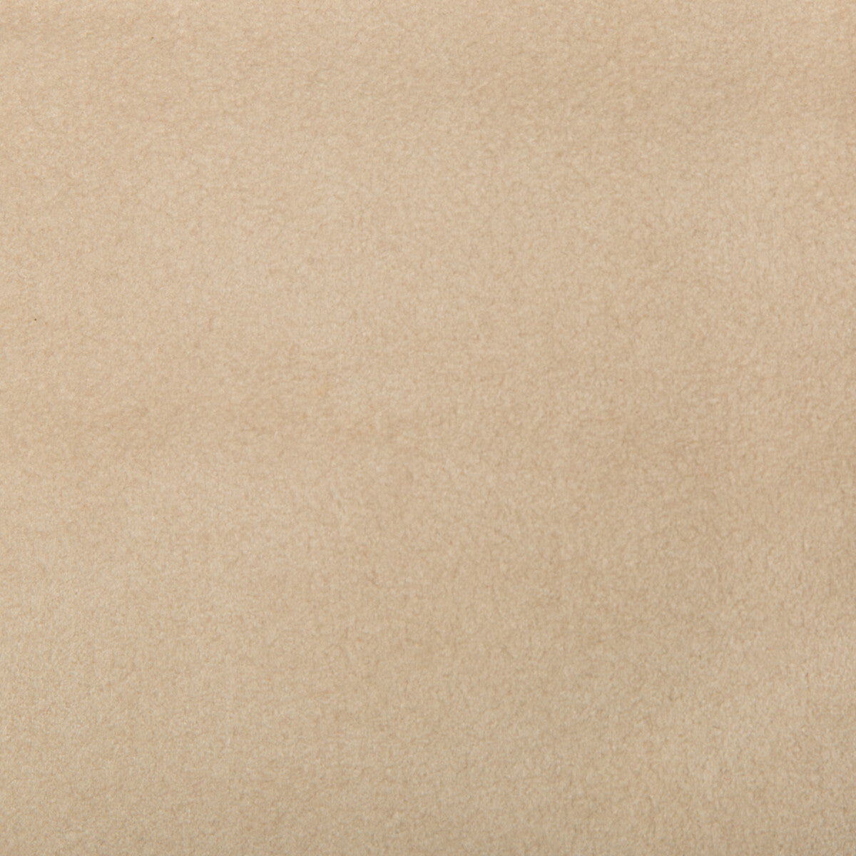 ultrasuede16160-ultrasuede-canvas-kravet-design - KRAVET DESIGN Fabric