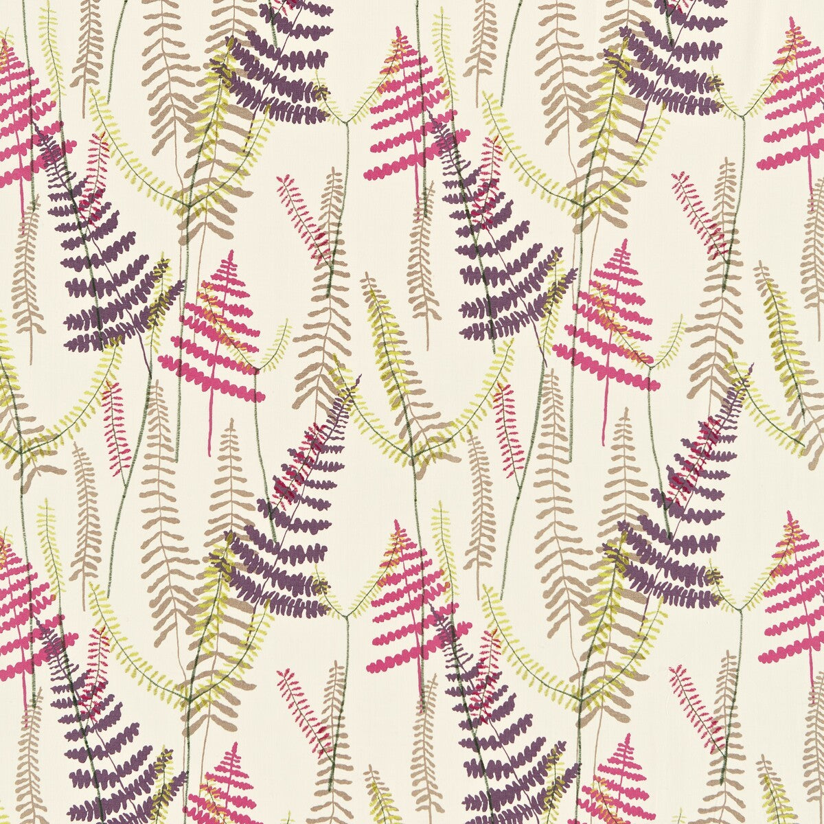 nmel130355scn0-athyrium-plumfuchsia-scion