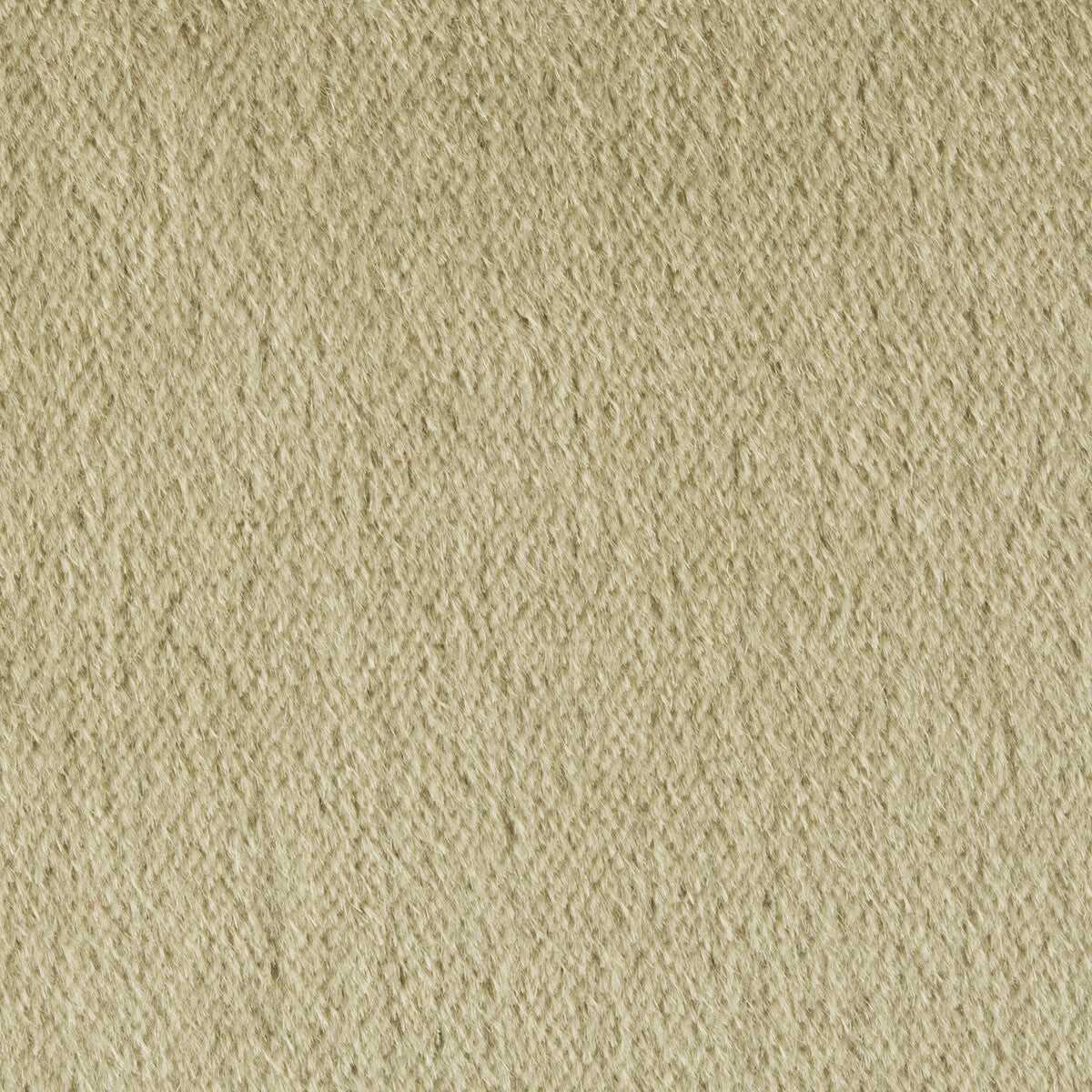 br-897783110-autun-mohair-velvet-eucalyptus-brunschwig-fils - BRUNSCHWIG & FILS Fabric