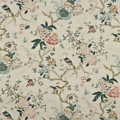 bp1038510-oriental-bird-rosegrey-g-p-j-baker