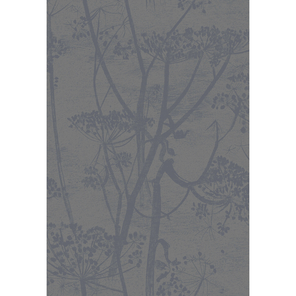 959050cs0-cow-parsley-gilverblack-cole-son - COLE & SON Wallpaper