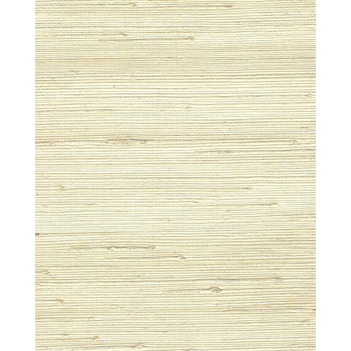 wnr2053wt0-keiko-cream-winfield-thybony - WINFIELD THYBONY Wallpaper