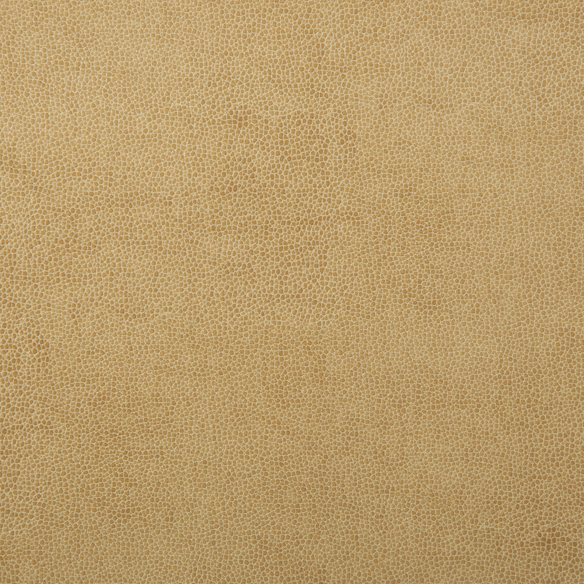 sparta10-kravet-design-sparta-1-kravet-design