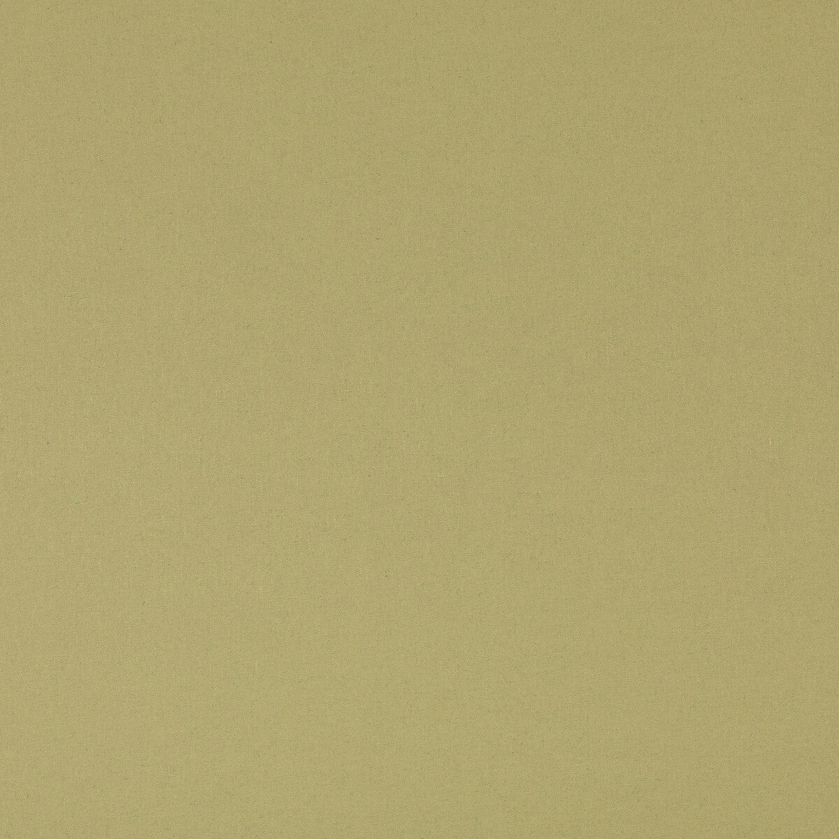 bf110667360-kits-linen-grass-g-p-j-baker - G P & J BAKER Fabric