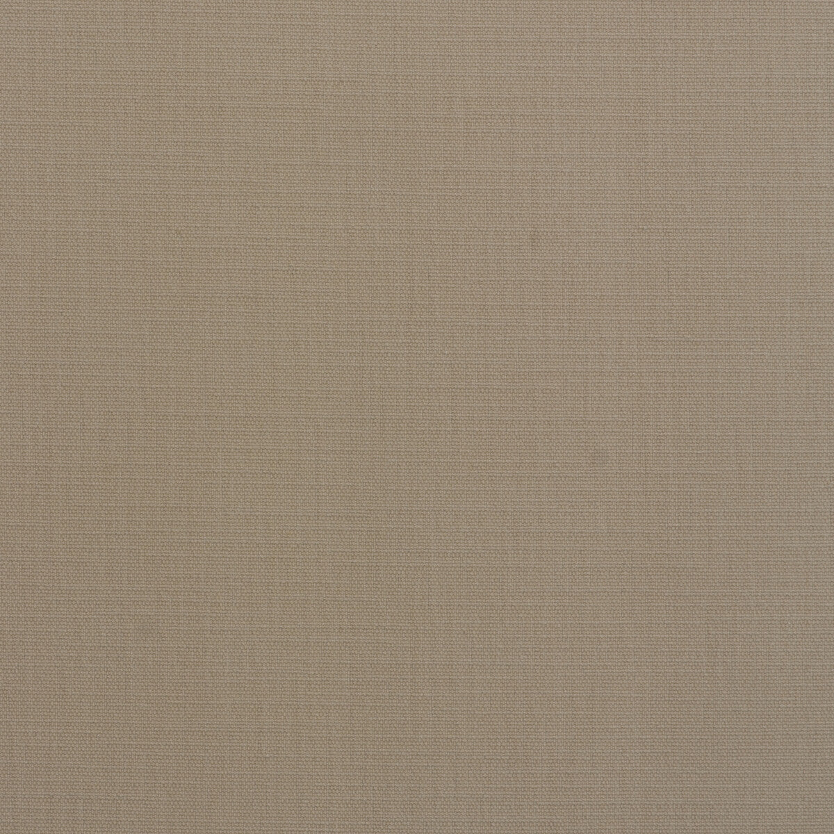 am100439160-coracle-chalk-kravet-couture