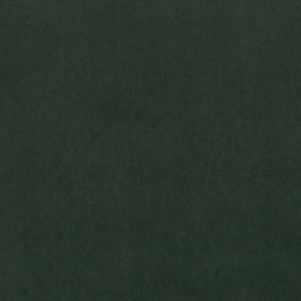 f075365cac0-alvar-forest-clarke-and-clarke - CLARKE AND CLARKE Fabric