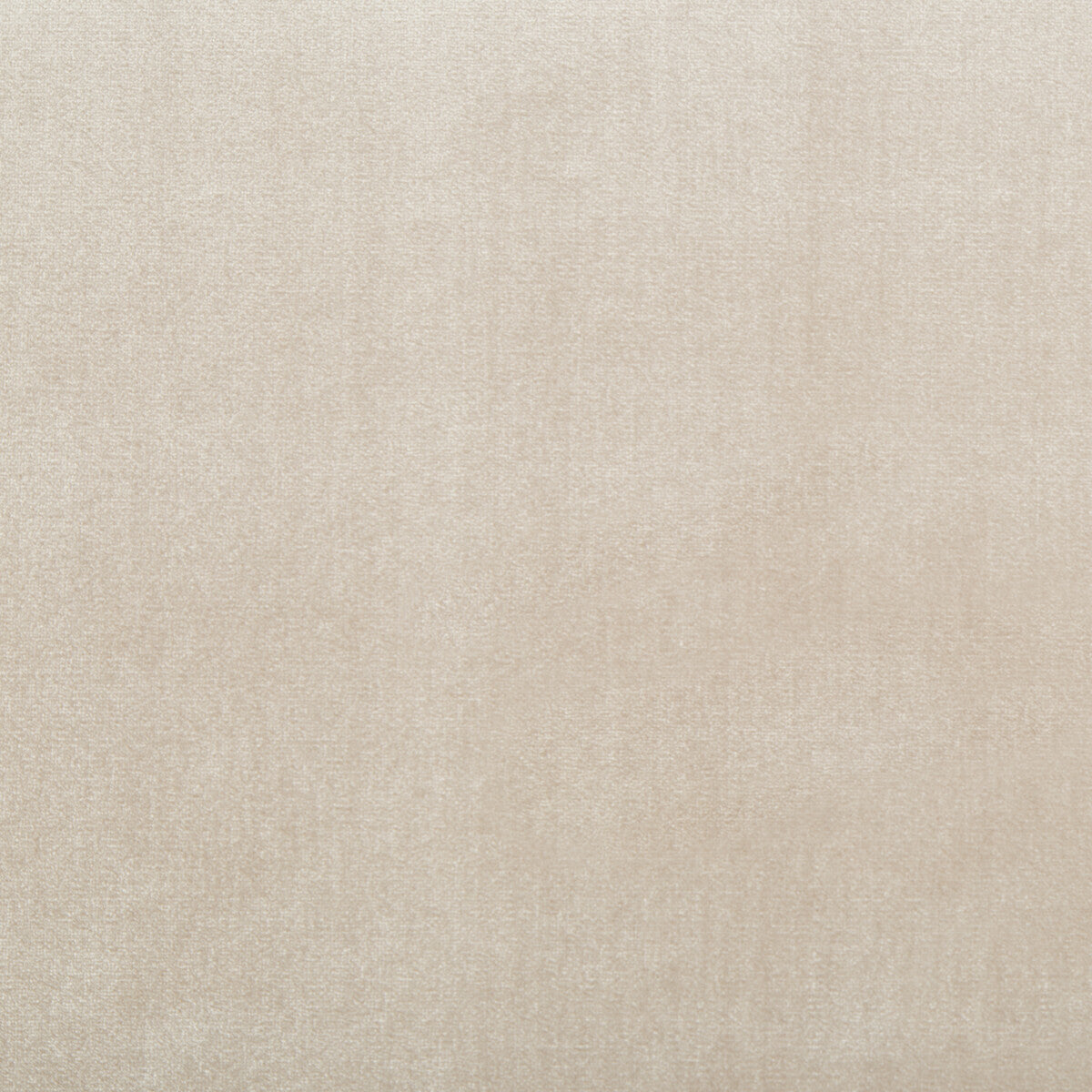 34641160-duchess-velvet-almond-kravet-couture