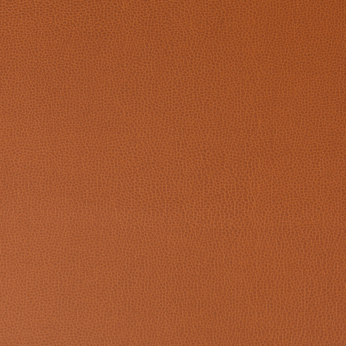 lenox240-lenox-canyon-kravet-contract