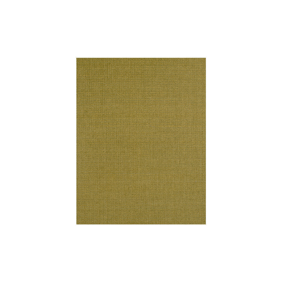 wiw2538wt0-negril-sprig-winfield-thybony - WINFIELD THYBONY Wallpaper