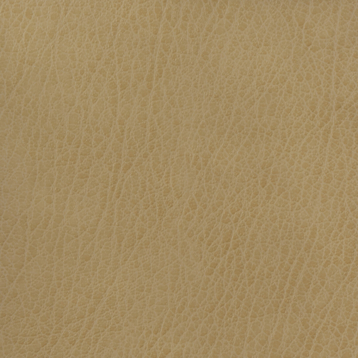 celine1060-kravet-basics-celine-106 - KRAVET BASICS Fabric