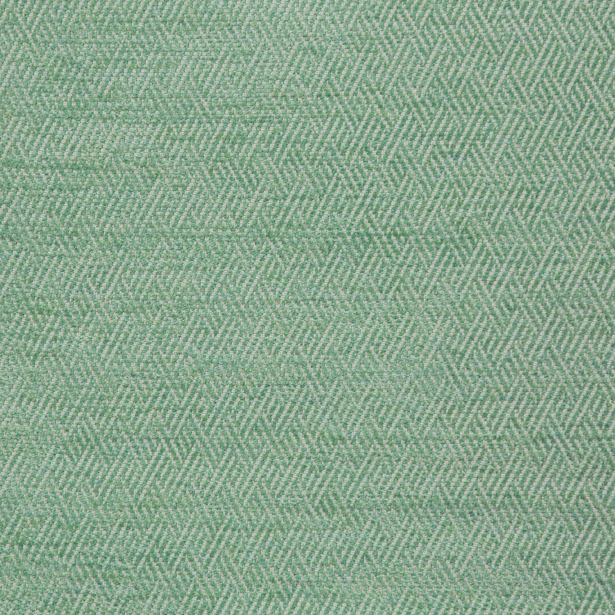 3582230-basslet-aloe-kravet-design