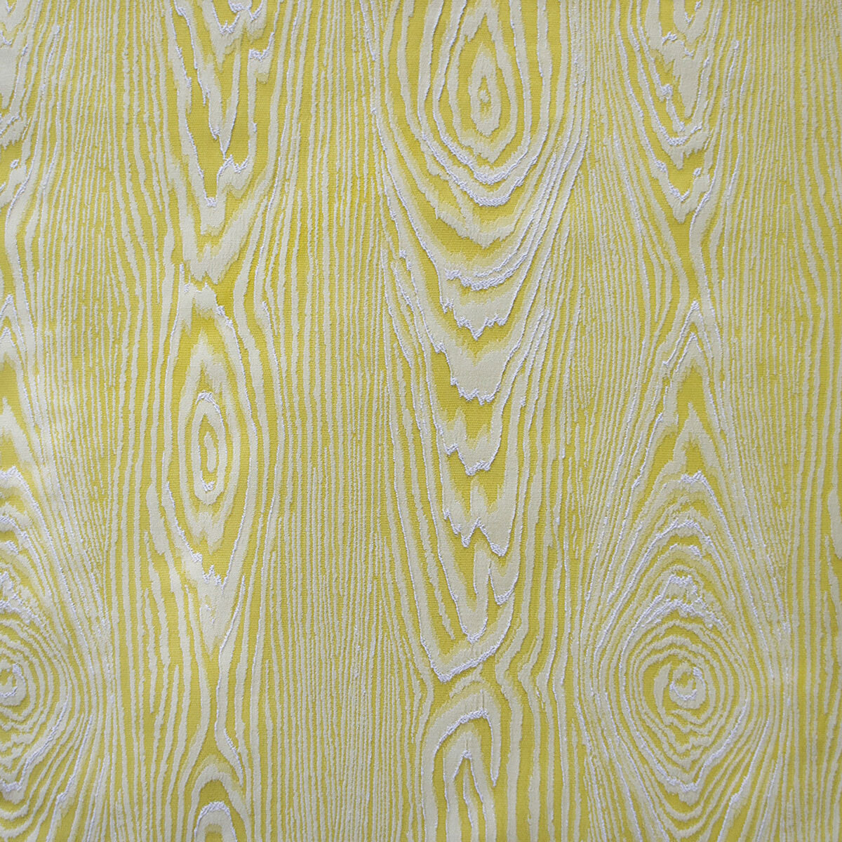 gdt56300020-haru-amarillo-gaston-y-daniela - GASTON Y DANIELA Fabric