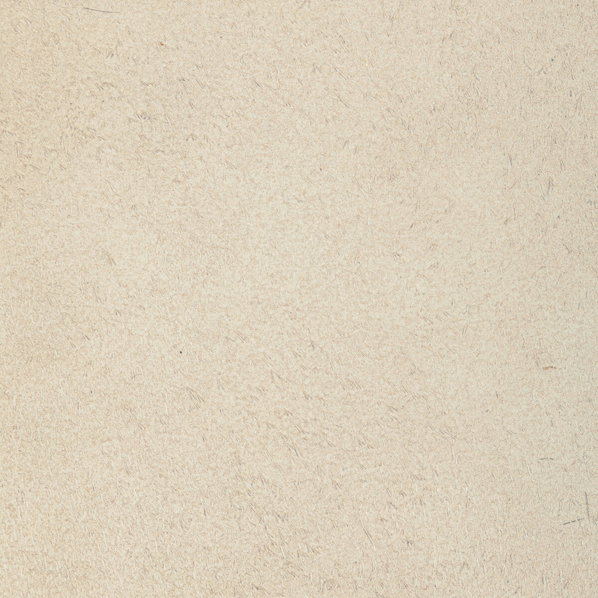 l-perchabiscuit0-kravet-design-l-percha-biscuit-kravet-design
