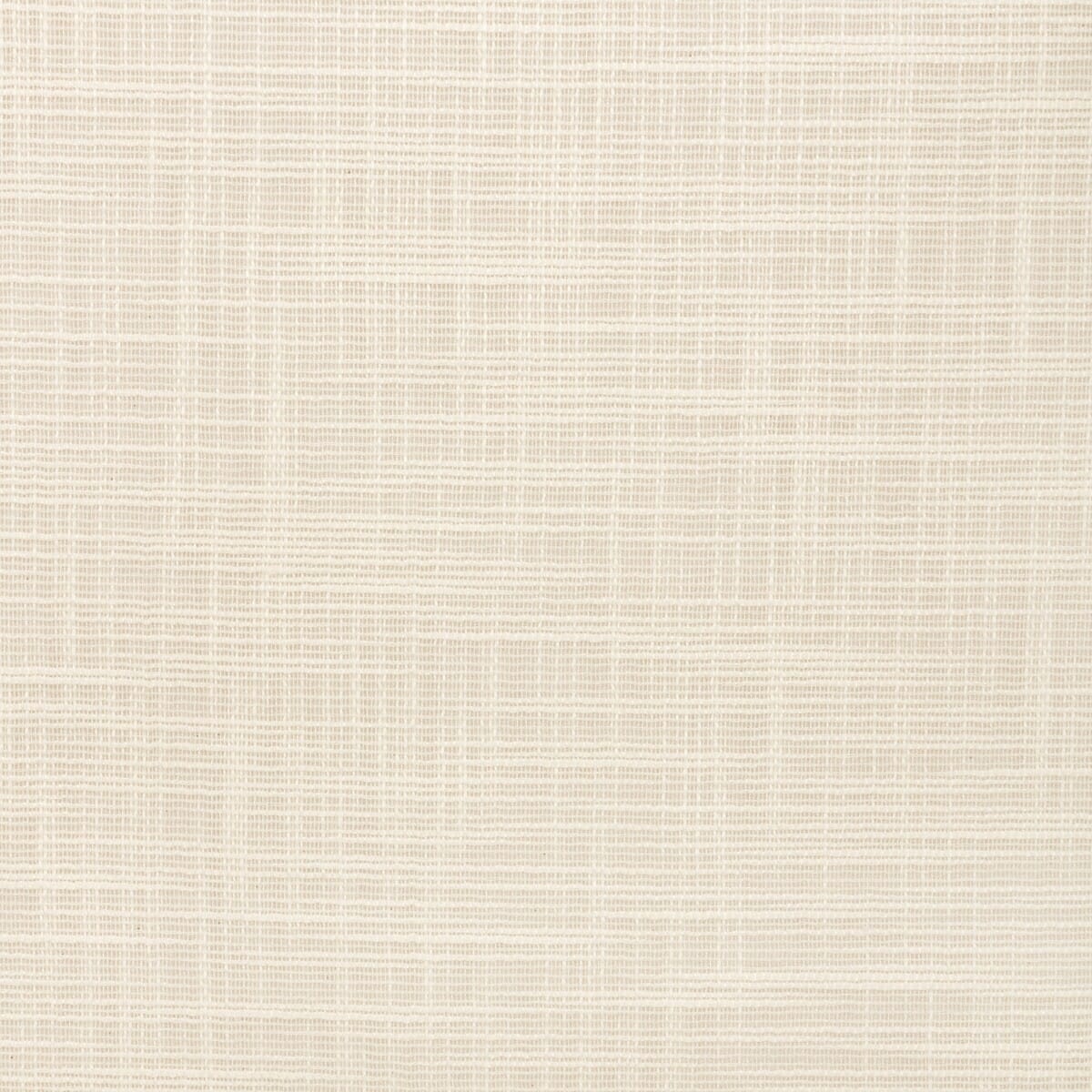 46701110-kravet-basics-4670-111 - KRAVET BASICS Fabric