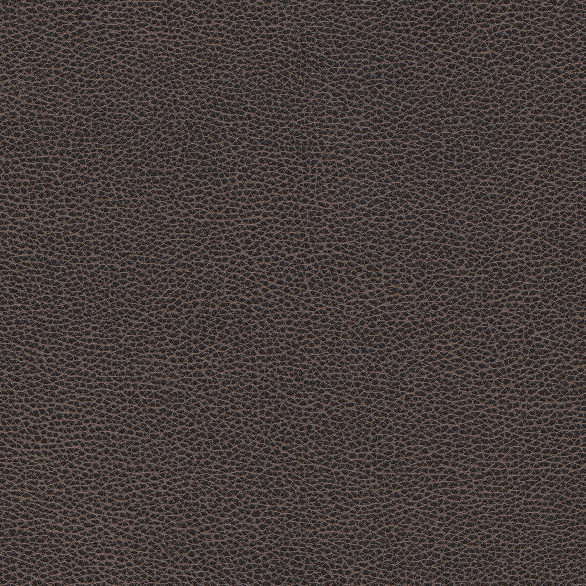 tannin80-kravet-design-tannin-8-kravet-design - KRAVET DESIGN Fabric
