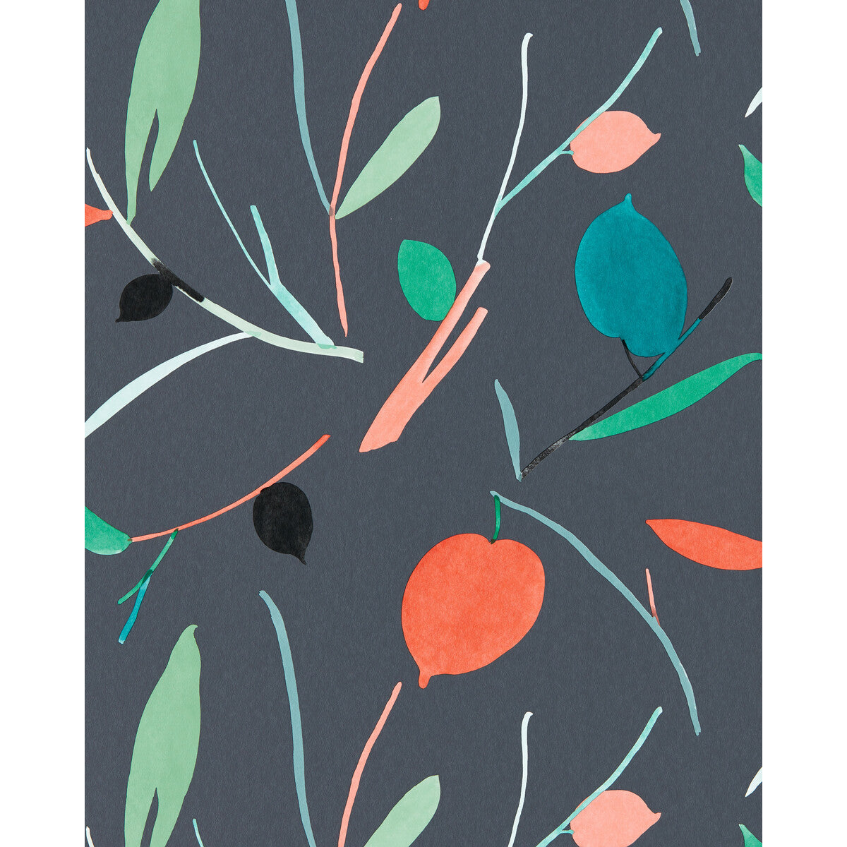 nzaw111997scn0-oxalis-wp-pimentomarine-scion