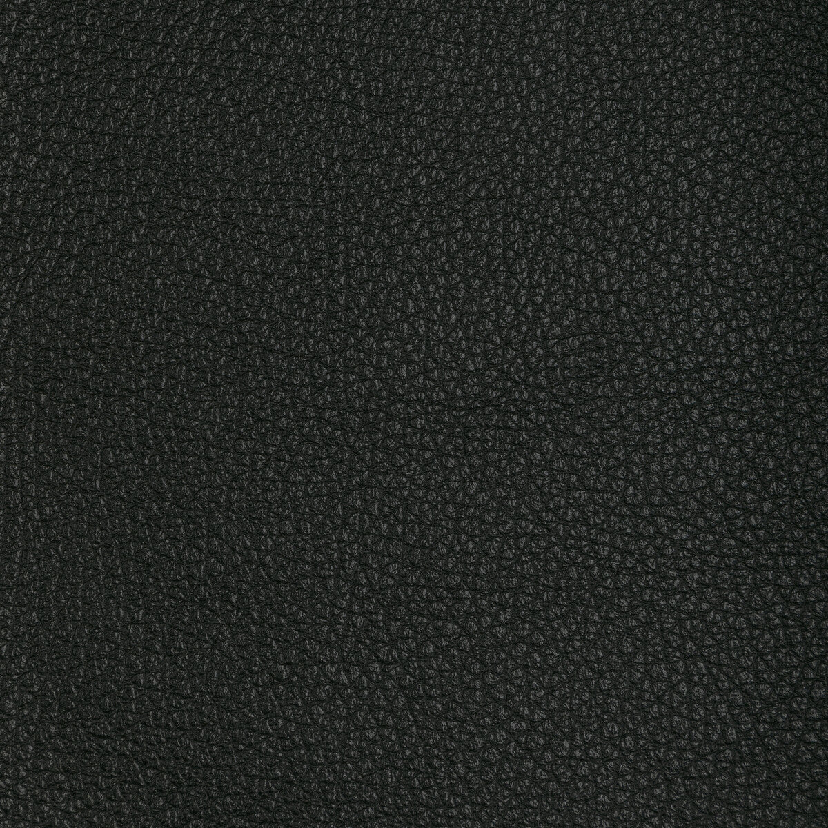 l-tucumblack0-kravet-design-l-tucum-black-kravet-design