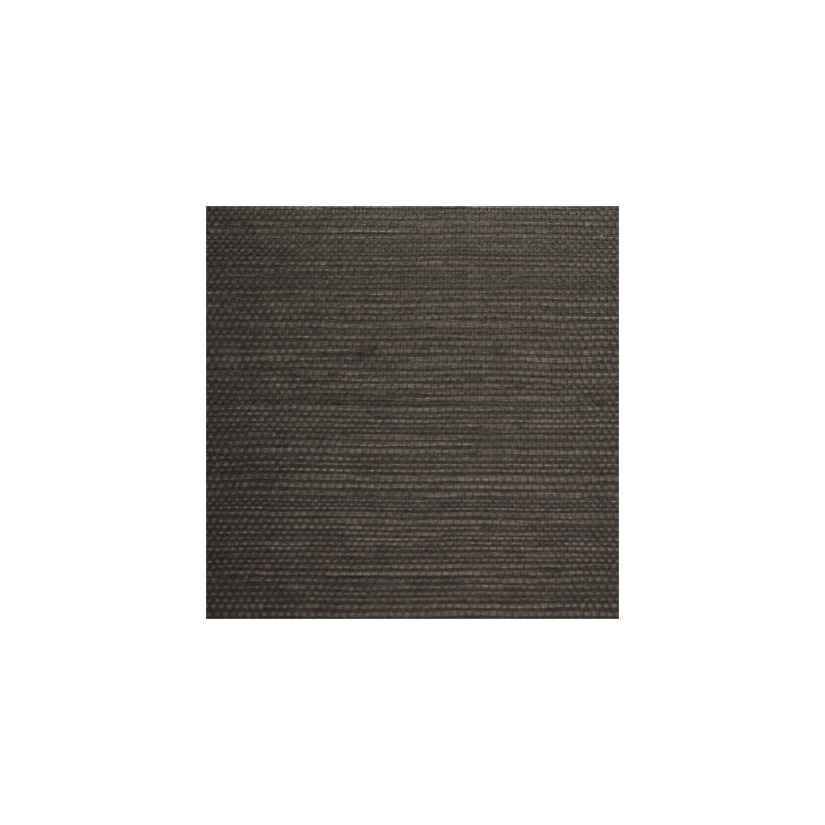 wbg5106wt0-plain-grounds-0-winfield-thybony - WINFIELD THYBONY Wallpaper