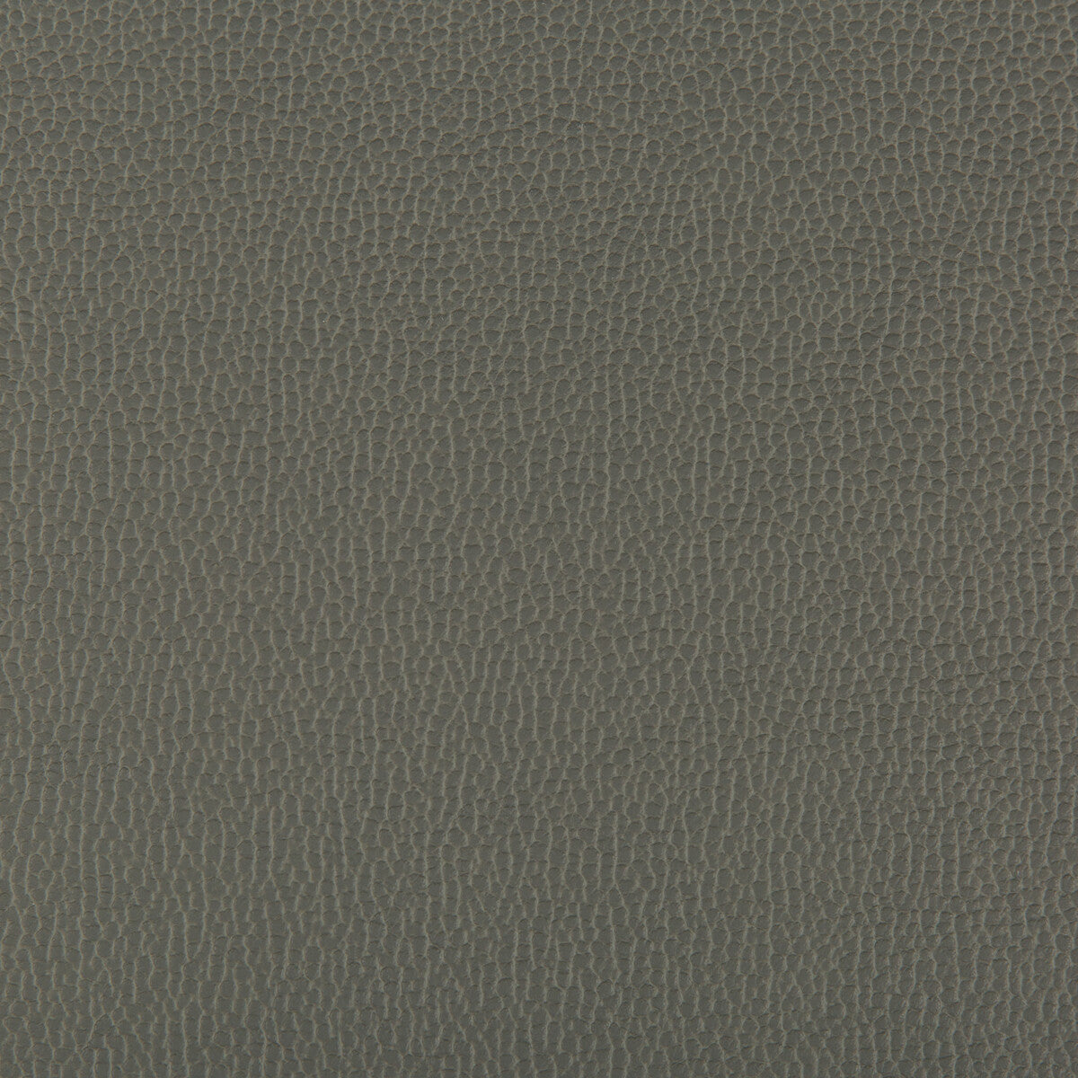 lenox210-lenox-shadow-kravet-contract