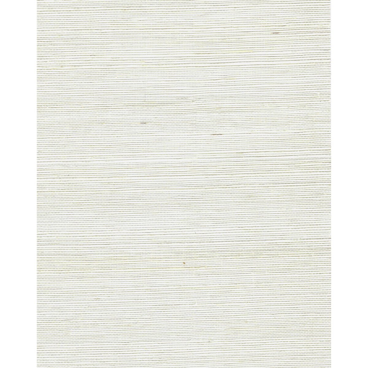 wnr2022wt0-chiyo-sisal-mellow-yellow-winfield-thybony - WINFIELD THYBONY Wallpaper