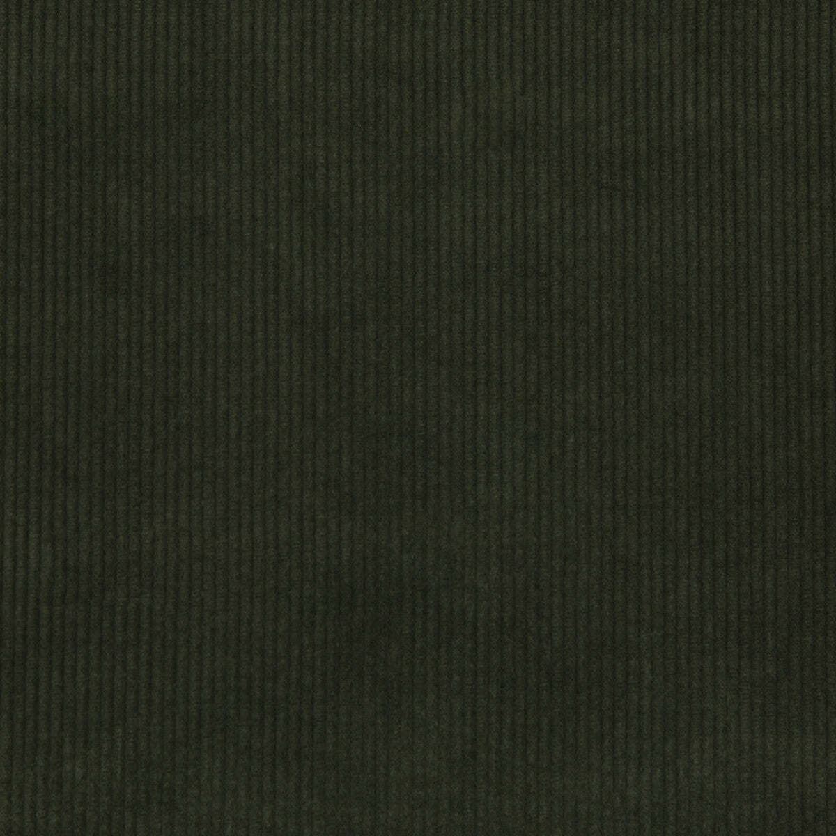 2017121300-saranac-cord-loden-lee-jofa