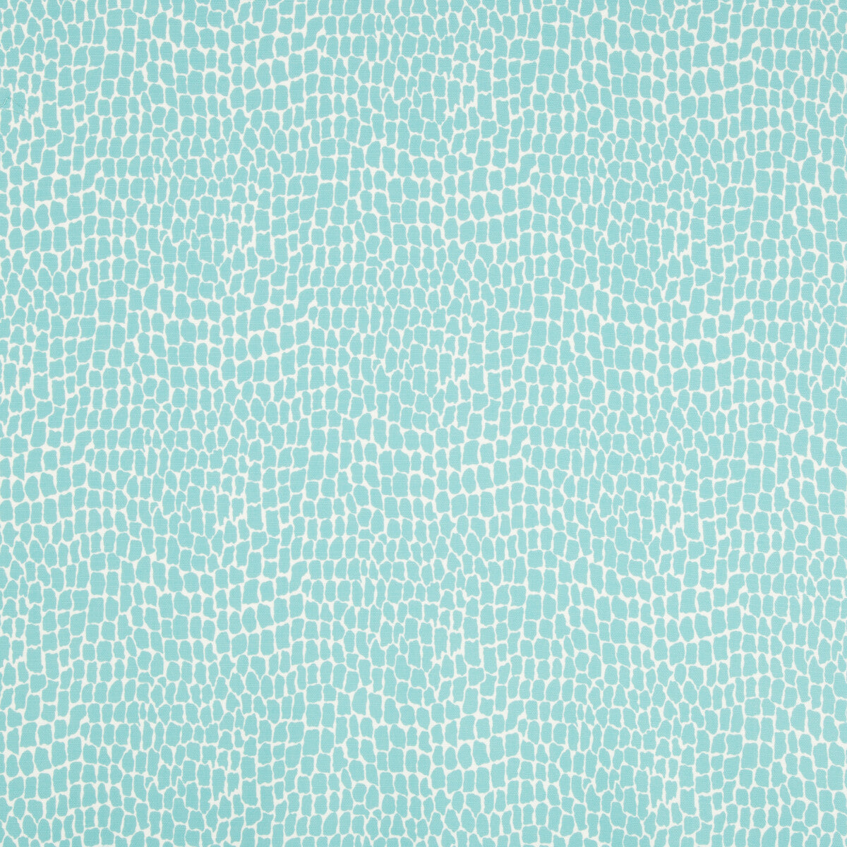 8017154130-nile-print-aqua-brunschwig-fils - BRUNSCHWIG & FILS Fabric